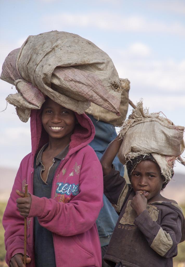 Les Hautes-Terres [Madagascar] - 2017