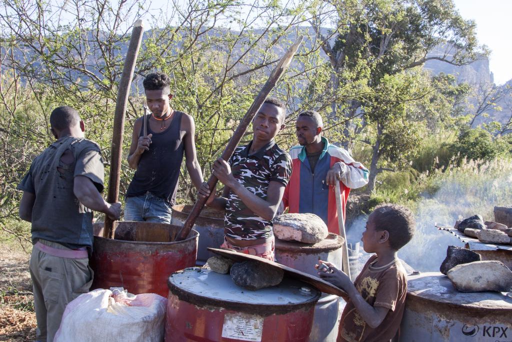 La préparation du rhum, parc de l'Isalo [Madagascar] - 2017