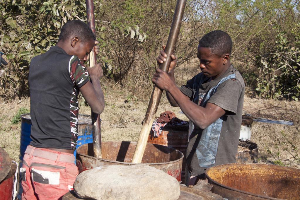 La préparation du rhum, parc de l'Isalo [Madagascar] - 2017