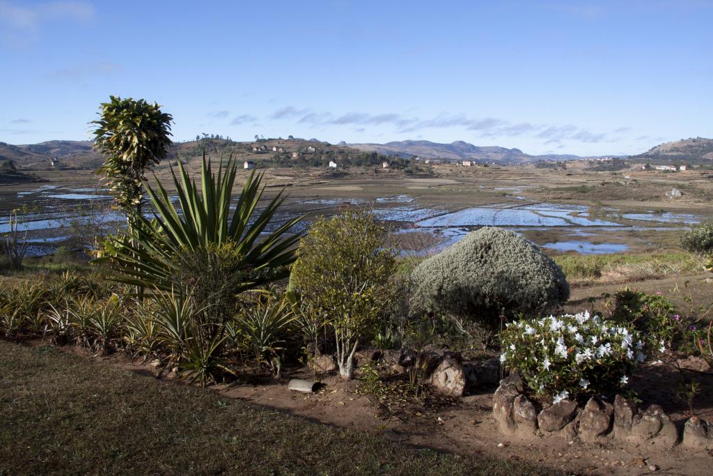 Les Hautes-Terres [Madagascar] - 2017