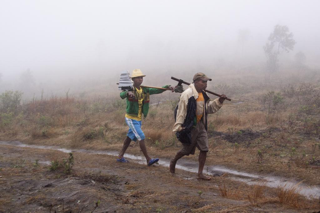 Pays Zafimaniry [Madagascar] - 2017