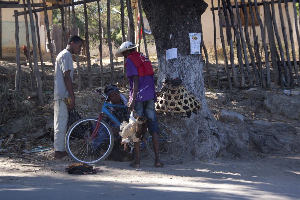 Ambilobe [Madagascar] - 2017