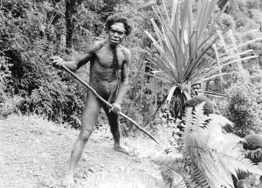 Gunung Eilit, les Hautes Terres, Irian Jaya [Indonésie] - 1989