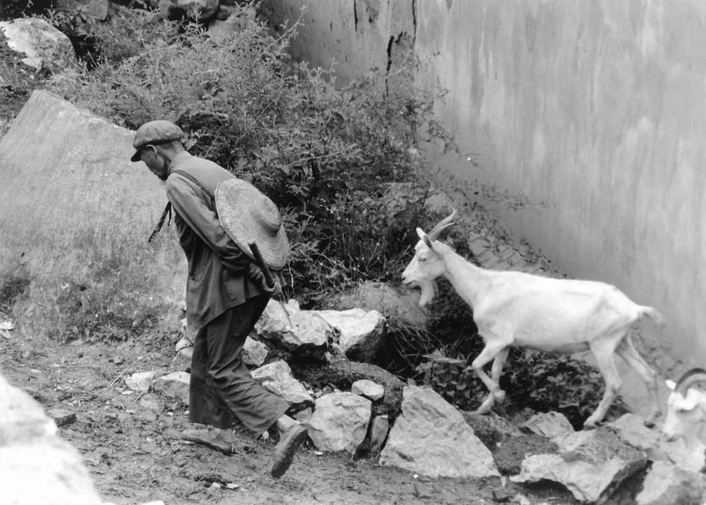 Yunnan [Chine] - 1992