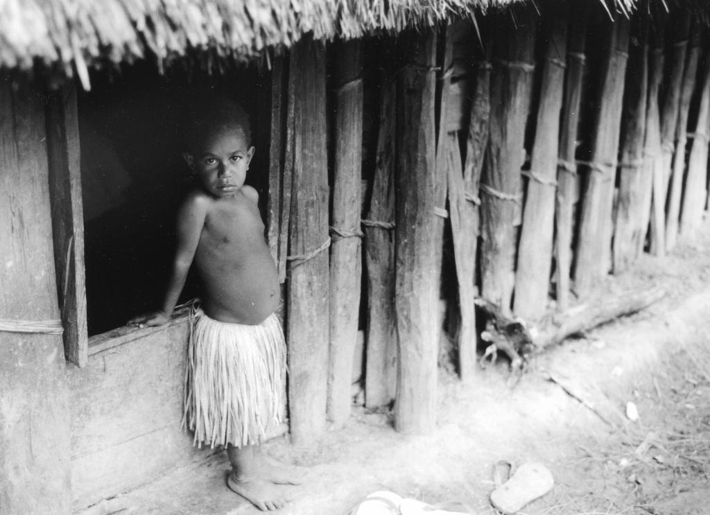 Les Hautes Terres, Irian Jaya [Indonésie] - 1989