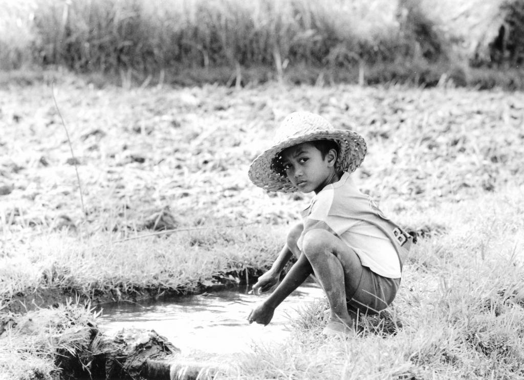 Région de Huê [Vietnam] - 1995