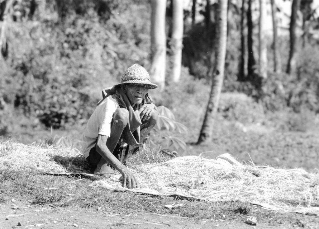 Région de Huê [Vietnam] - 1995