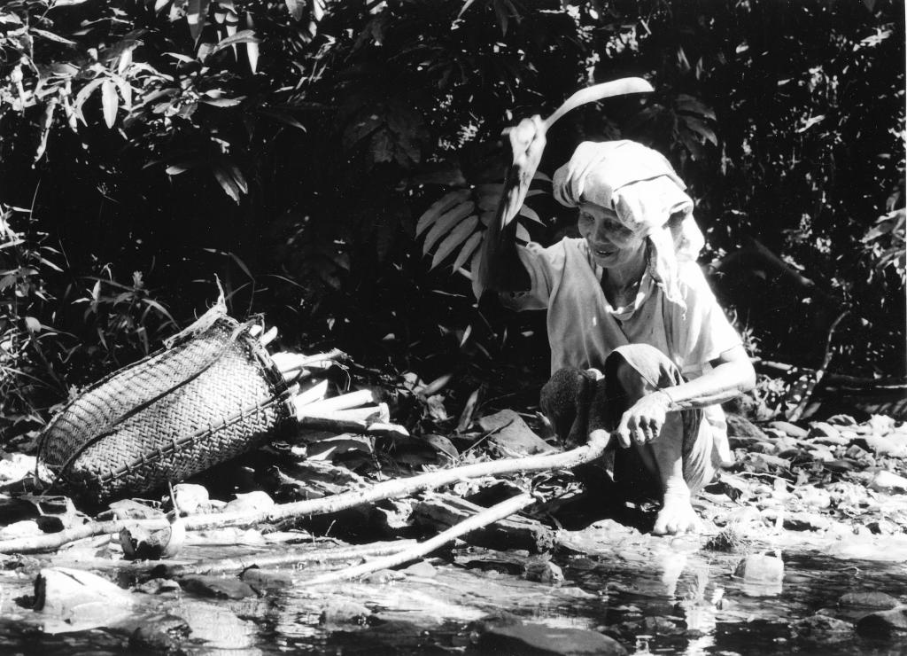 Iban, état de Sarawak, Bornéo [Malaisie} - 1995