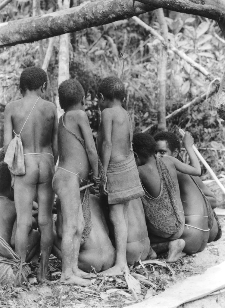 Les Hautes Terres, Irian Jaya [Indonésie] - 1989