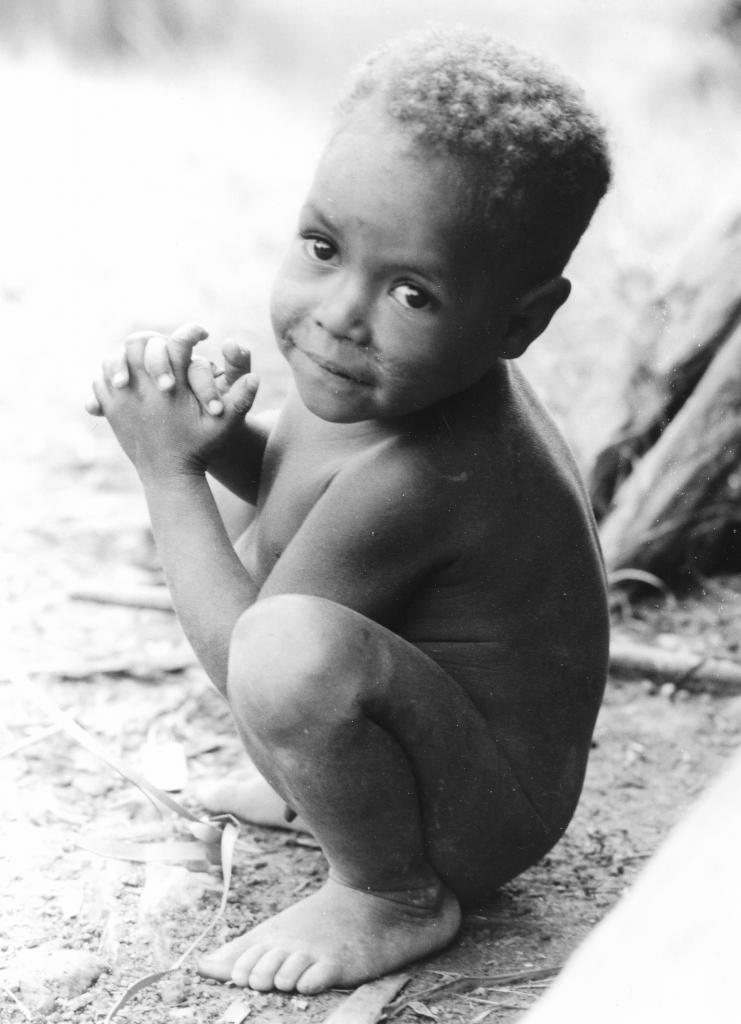 Les Hautes Terres, Irian Jaya [Indonésie] - 1989