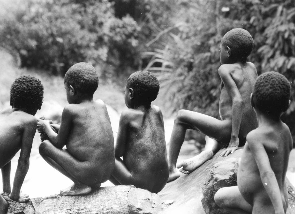 Les Hautes Terres, Irian Jaya [Indonésie] - 1989