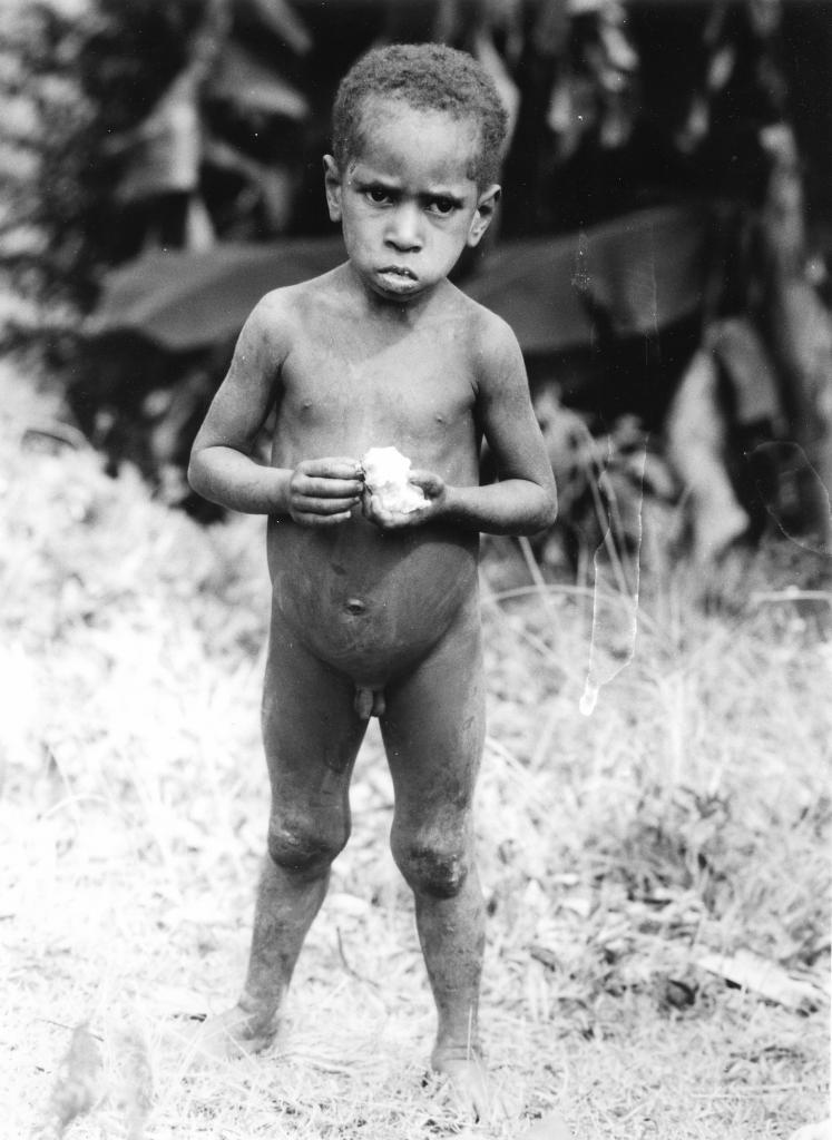 Les Hautes Terres, Irian Jaya [Indonésie] - 1989