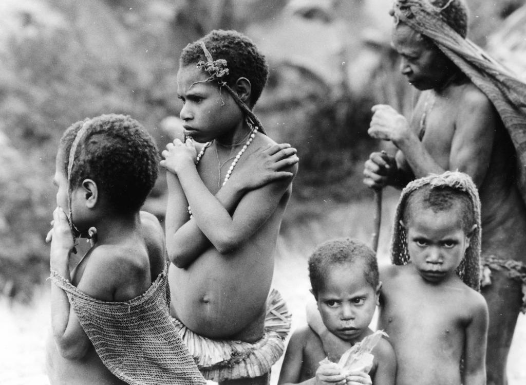 Les Hautes Terres, Irian Jaya [Indonésie] - 1989