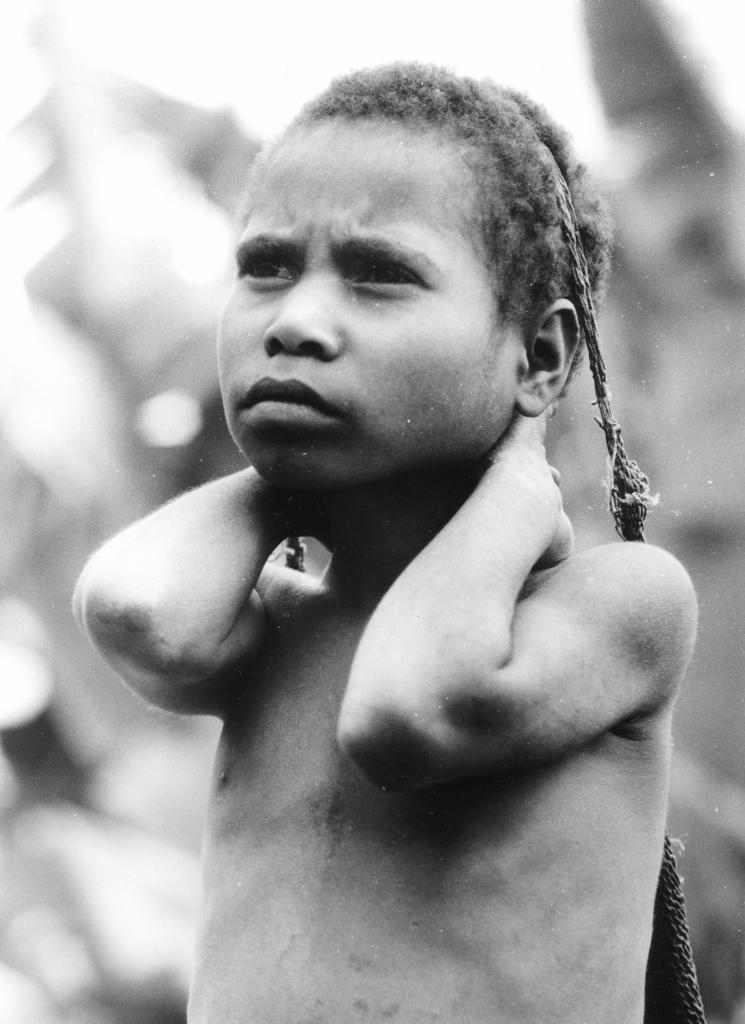 Les Hautes Terres, Irian Jaya [Indonésie] - 1989