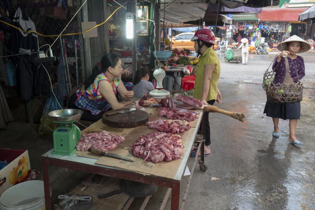 Marché de Ha Giang [Haut-Tonkin, Vietnam] - 2018