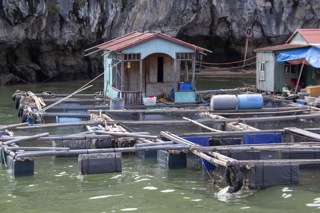 Baie de Lan Ha [Haut-Tonkin, Vietnam] - 2018