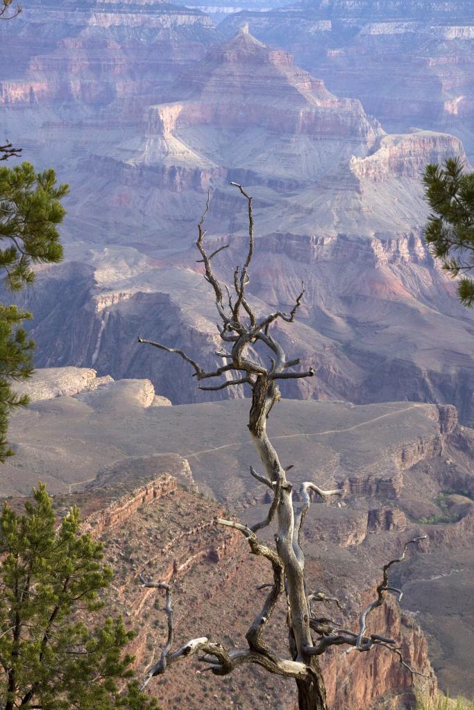 Grand Canyon, Arizona [Etats-Unis]