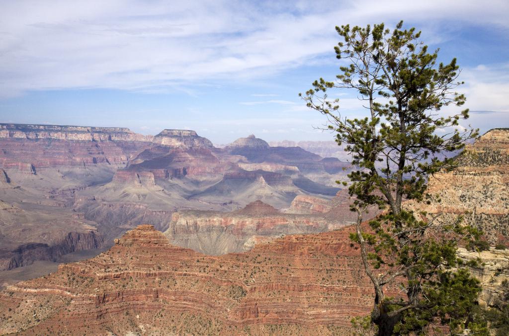 Grand Canyon, Arizona [Etats-Unis]