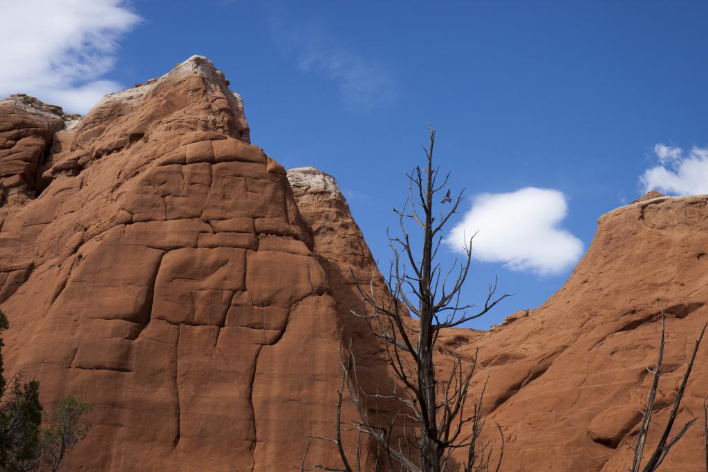 Kodachrome Basin, Utah [Etats-Unis]