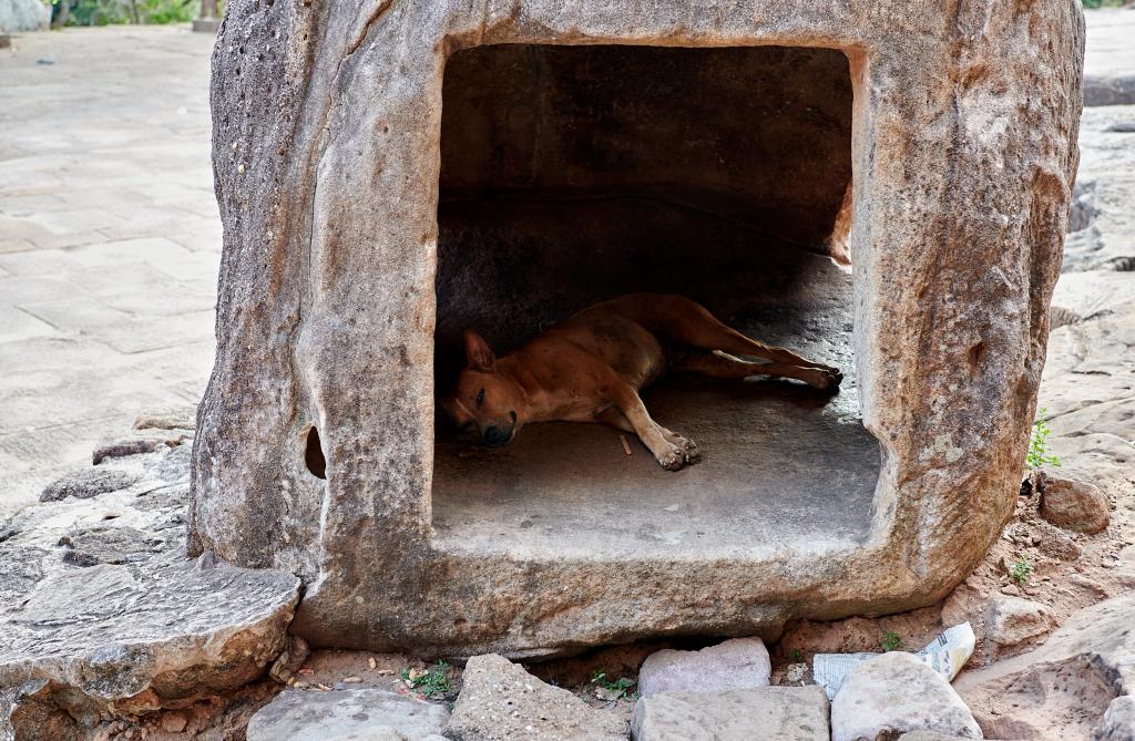 Grottes de Khandagiri, Bhubaneshwar [Orissa, Inde] - 2020