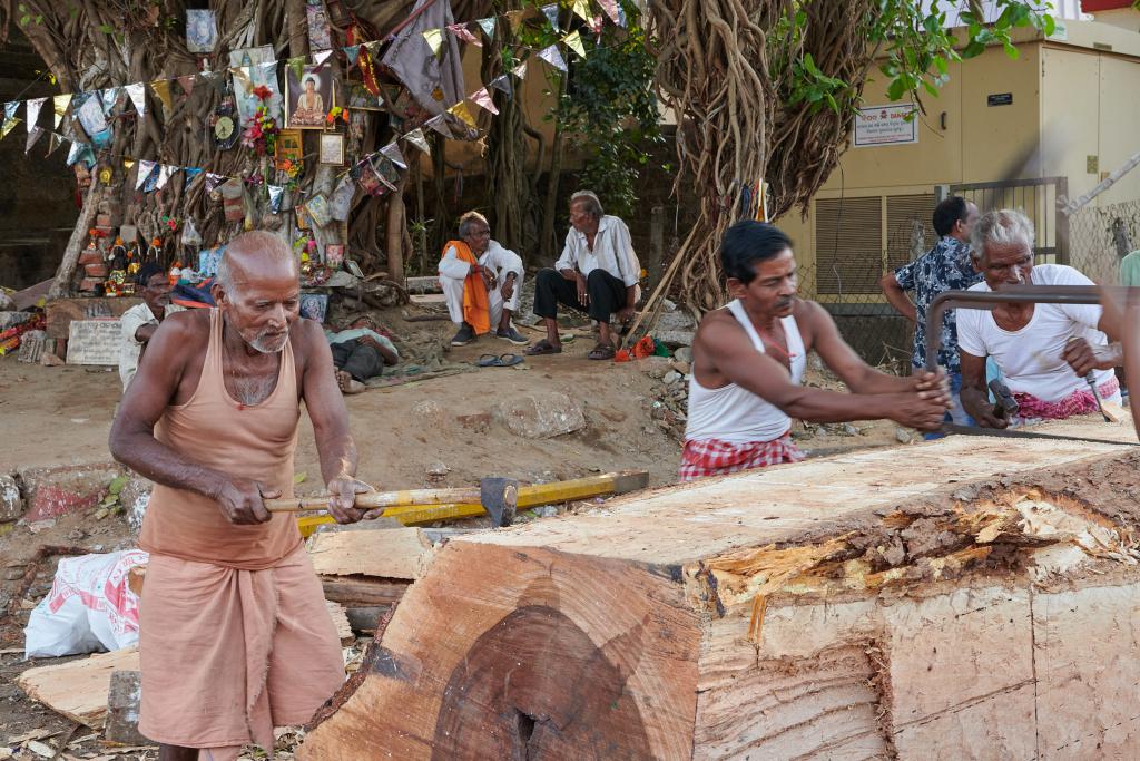 Bhubaneshwar [Orissa, Inde] - 2020