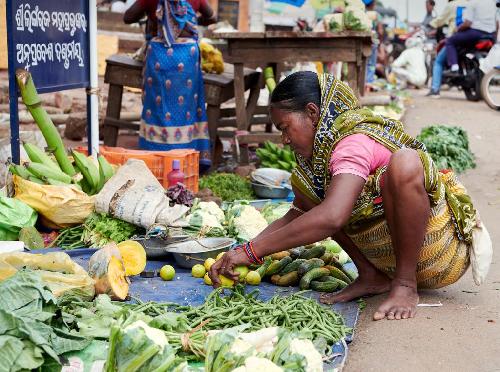 Bhubaneshwar [Orissa, Inde] - 2020