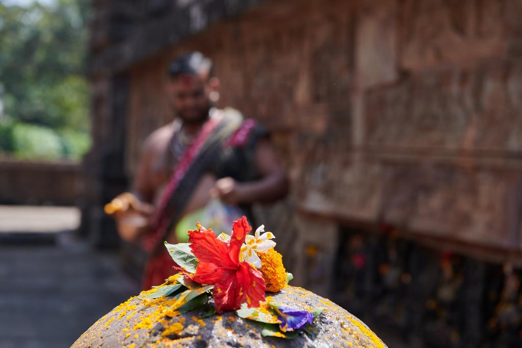 Temple de Parasurameswar, Bhubaneshwar [Orissa, Inde] - 2020