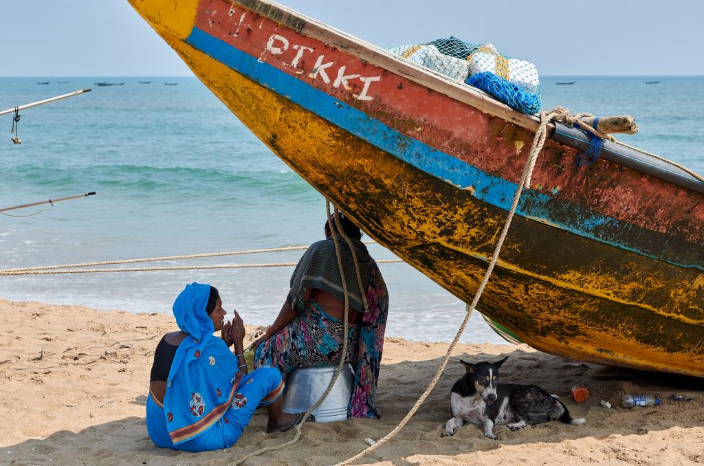 Près d'un village pêcheurs [Orissa, Inde] - 2020
