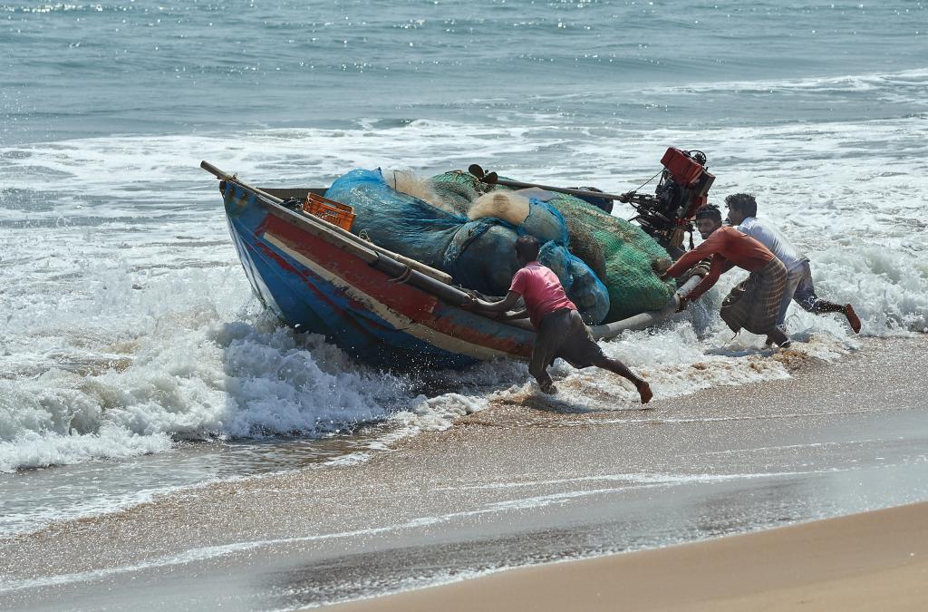 Retour de pêche [Orissa, Inde] - 2020