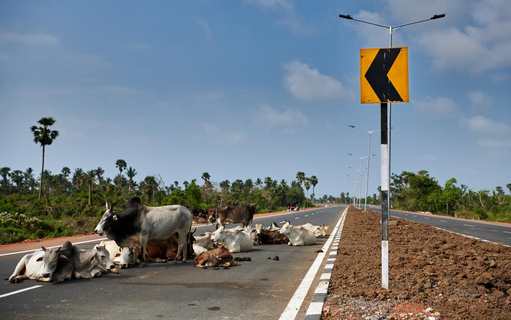 [Orissa, Inde] - 2020