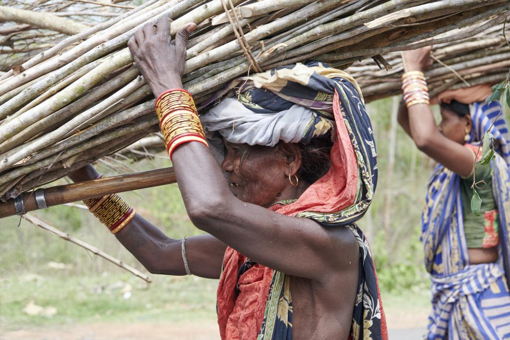 [Orissa, Inde] - 2020