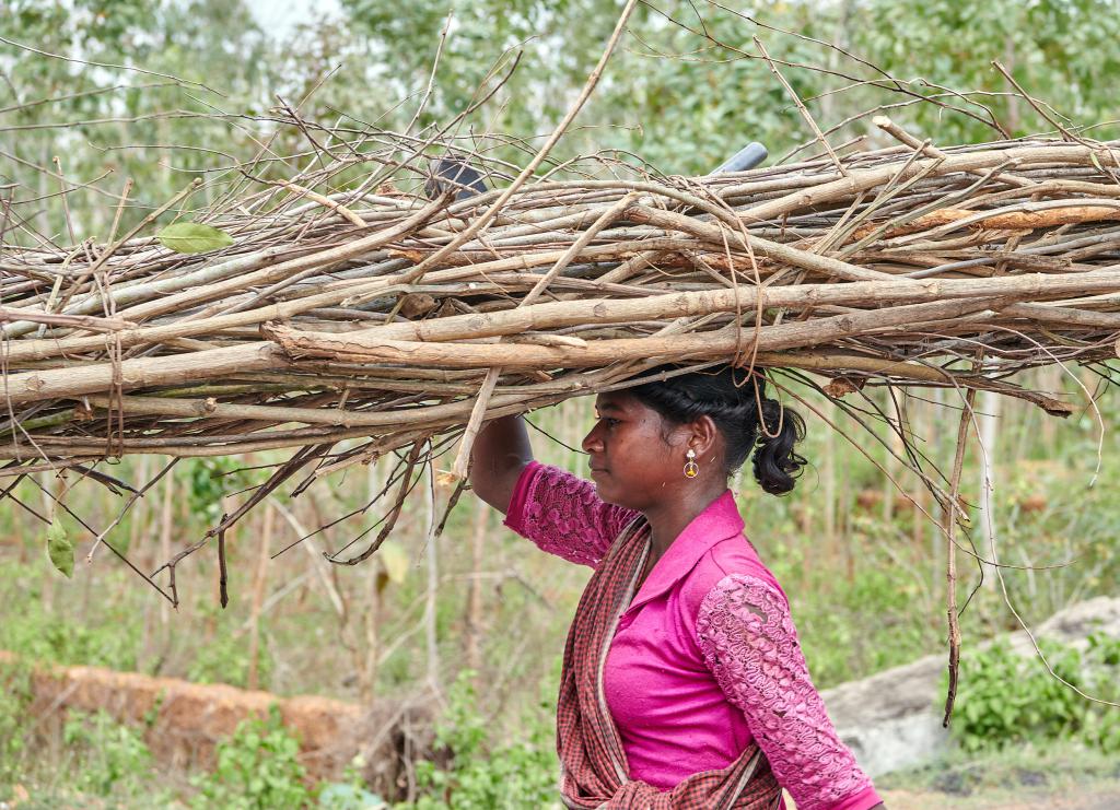 [Orissa, Inde] - 2020