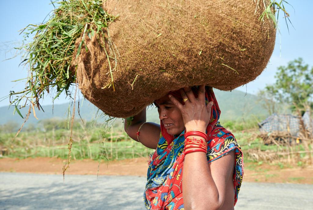 [Orissa, Inde] - 2020