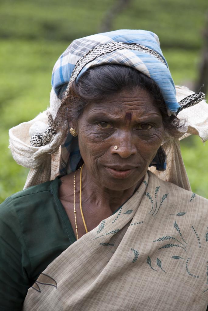 Cueilleuse, Nuwara Elya [Sri Lanka] - 2016