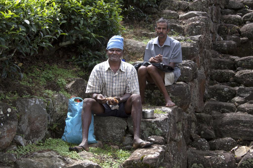 Déjeuner des cueilleurs, Nuwara Elya [Sri Lanka] - 2016