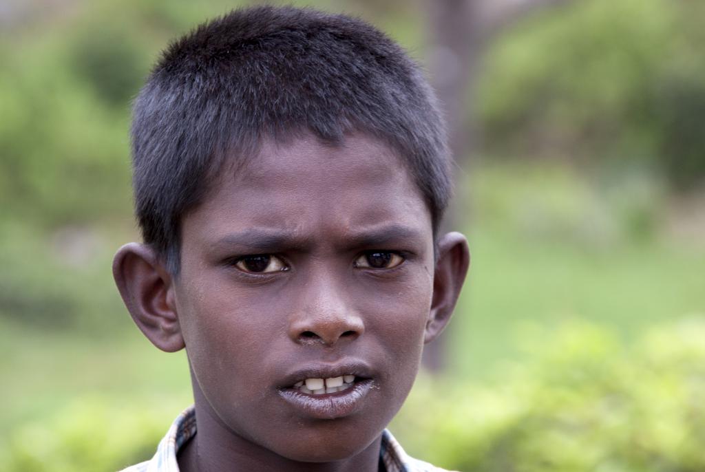 Nuwara Elya [Sri Lanka] - 2016