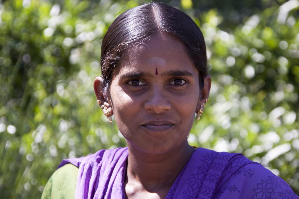 Nuwara Elya, cueilleuse de thé [Sri Lanka] - 2016