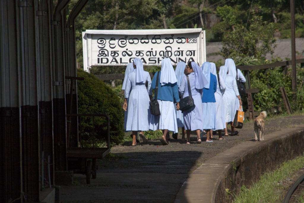 A l'arrivée du train, Idalgashinna [Sri Lanka] - 2016