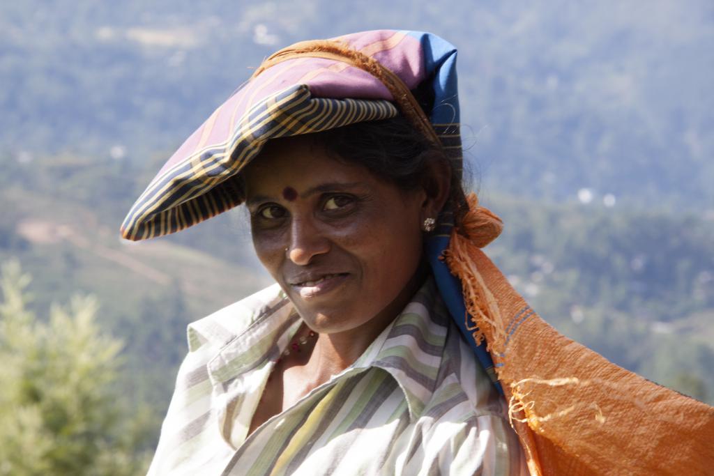 Cueilleuse, Nuwara Elya [Sri Lanka] - 2016