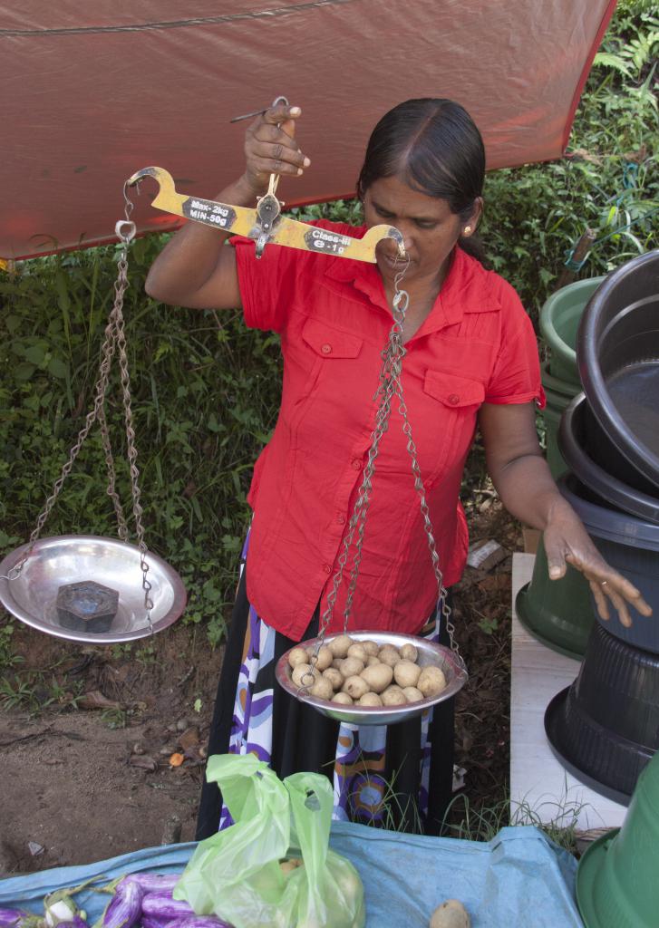 Ella, marché [Sri Lanka] - 2016