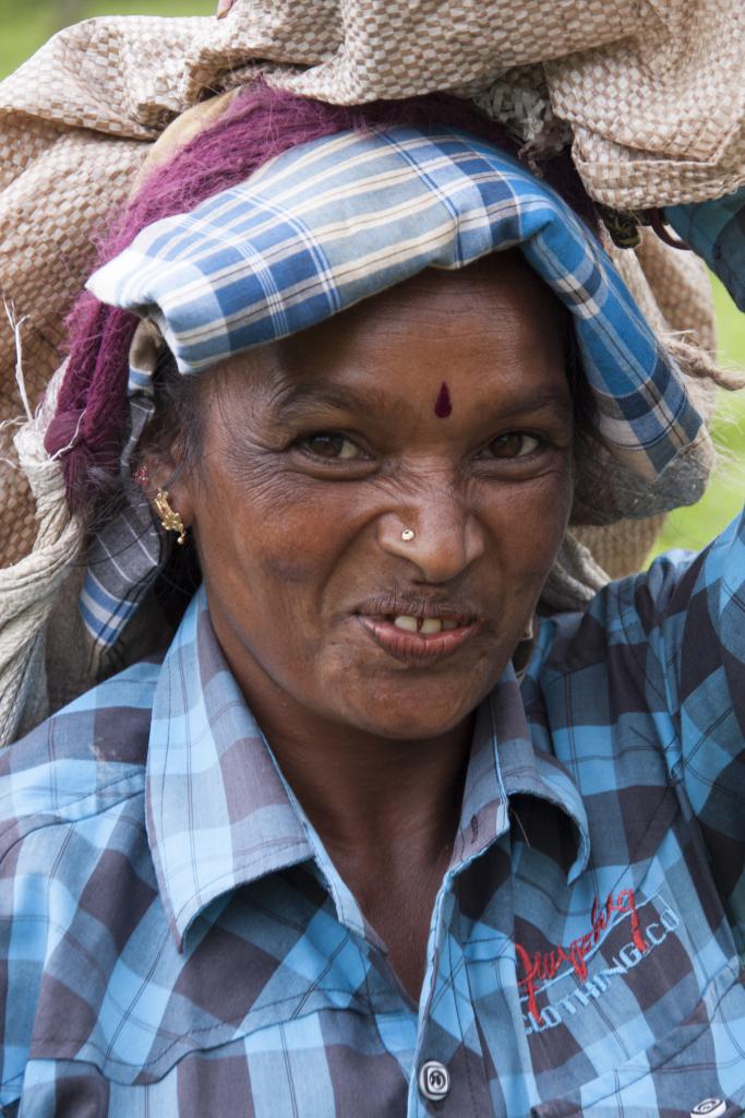 Cueilleuse, Nuwara Elya [Sri Lanka] - 2016