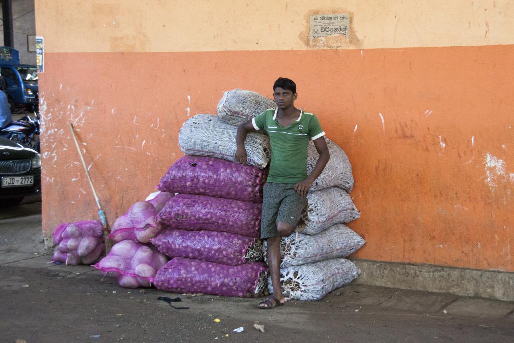 Porteur au marché de Habarana [Sri Lanka] - 2016
