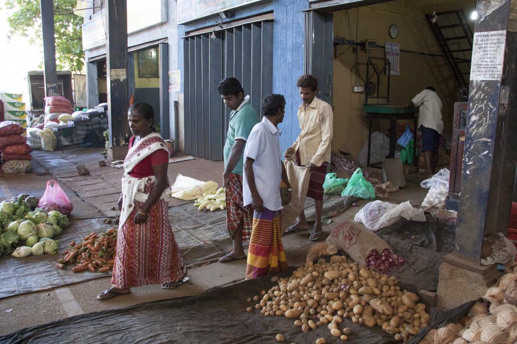 Marché de Habarana [Sri Lanka] - 2016