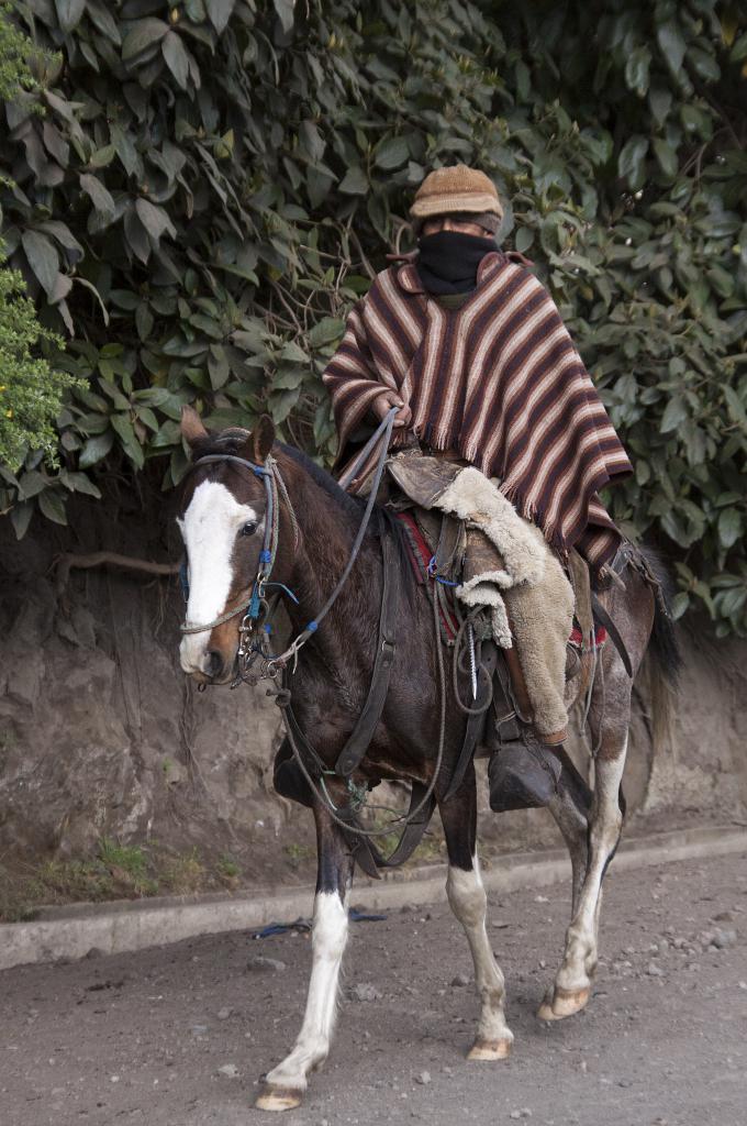 Las Cuatro Esquinas [Equateur] - 2015