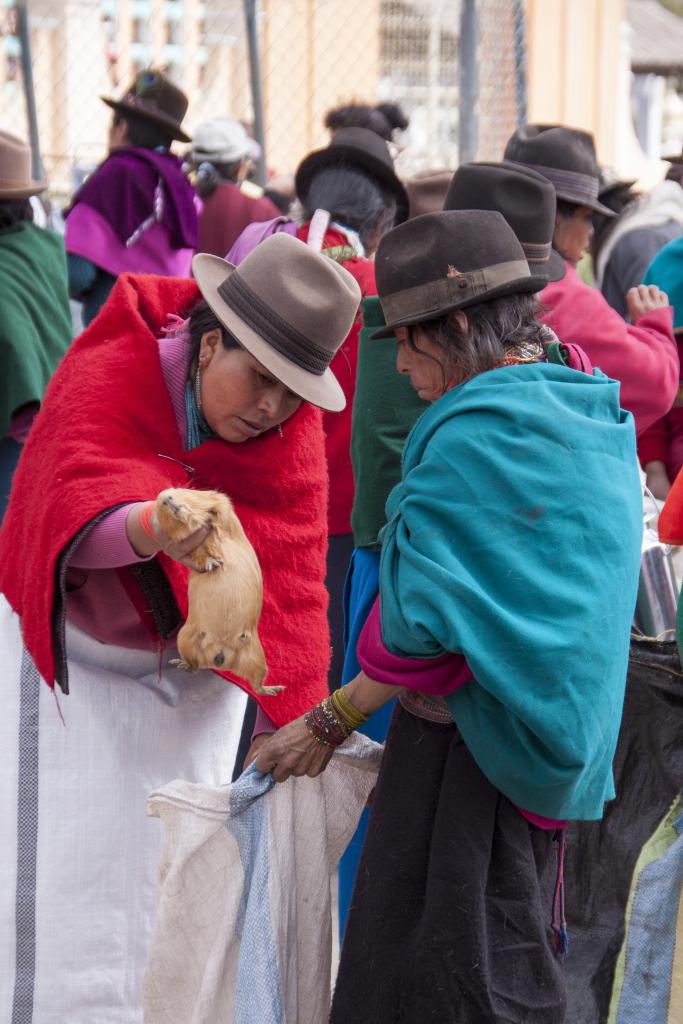 Marché de Guamote [Equateur] - 2015