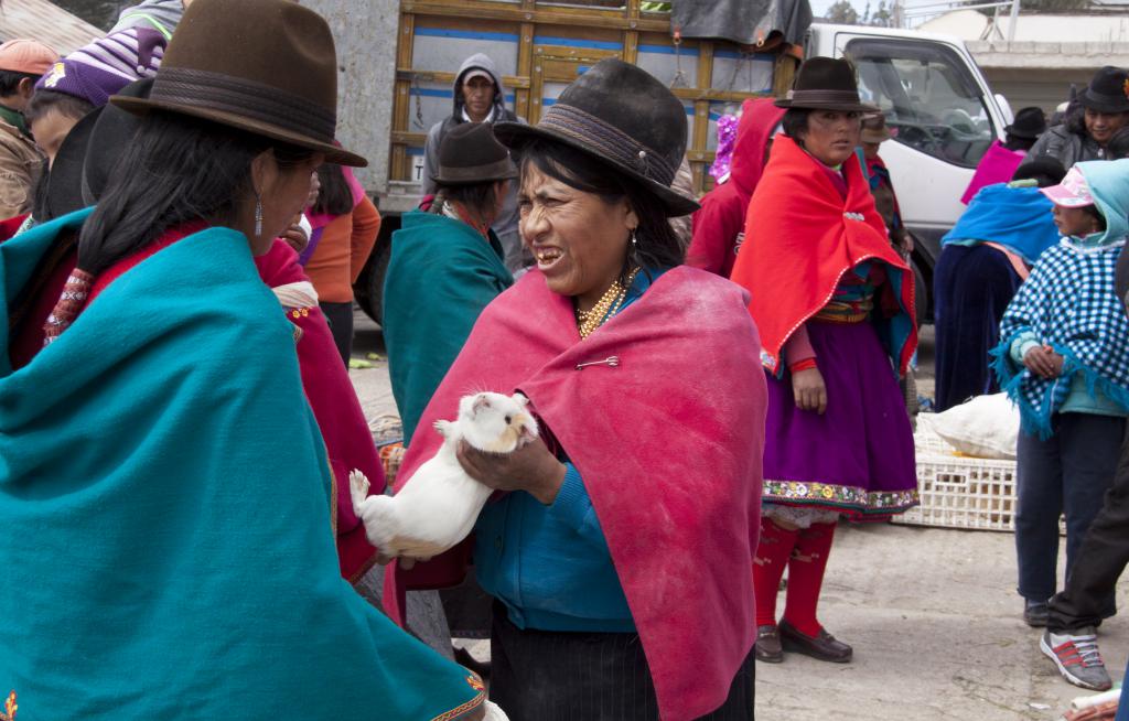 Marché de Guamote [Equateur] - 2015