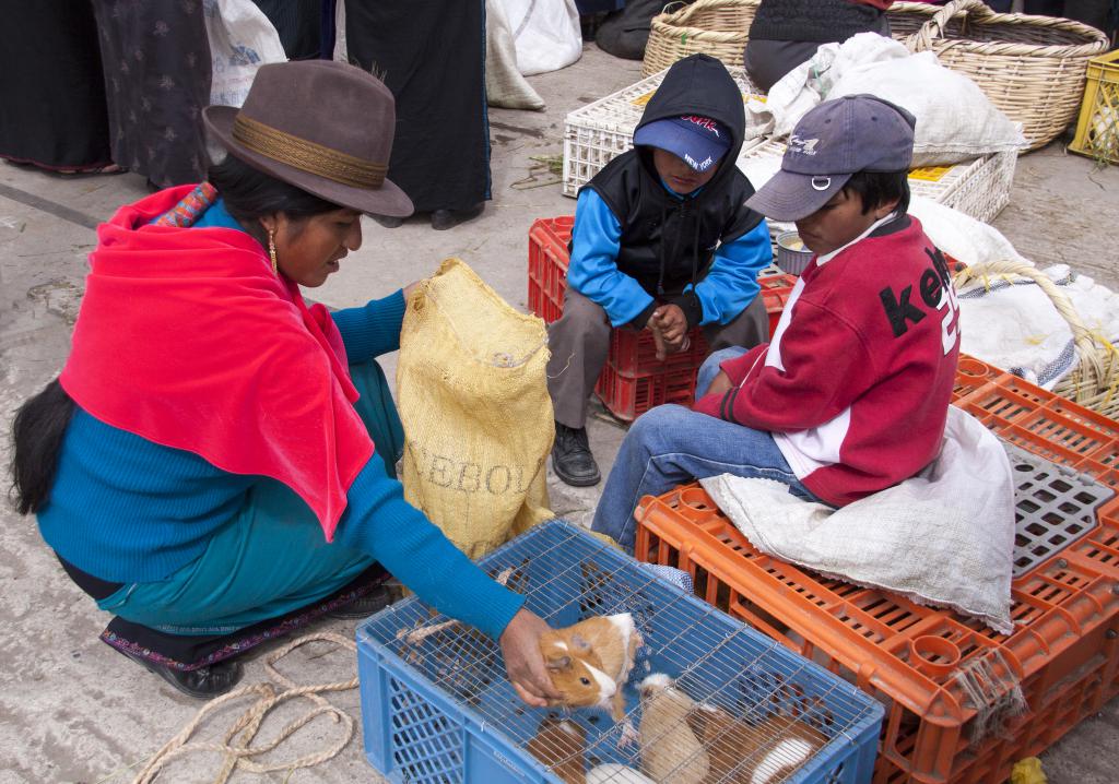 Marché de Guamote [Equateur] - 2015