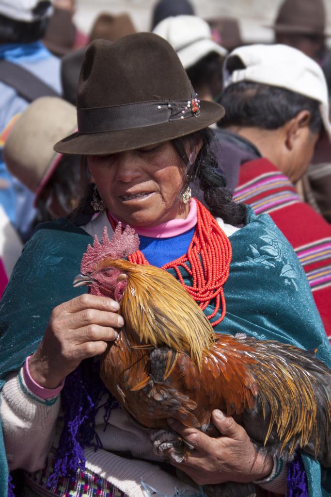 Marché de Guamote [Equateur] - 2015