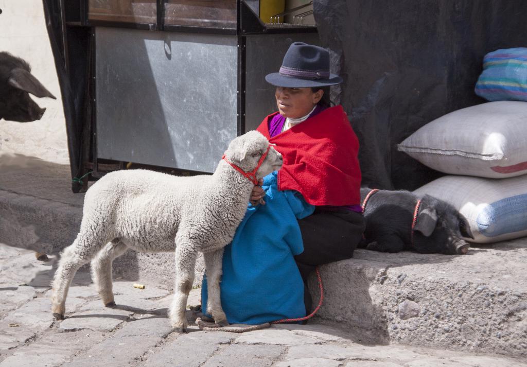 Marché de Guamote [Equateur] - 2015