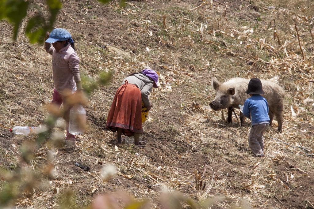 La Esperanza [Equateur] - 2015